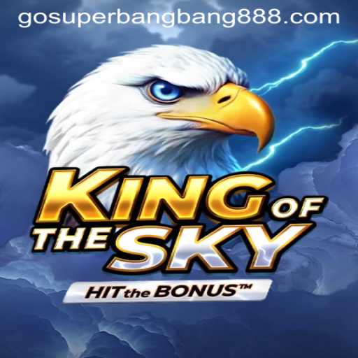 Discovering KingOfTheSky: A New Frontier of Gaming